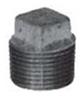 521-803 BLK PIPE PLUG 1/2 - Iron Pipe and Fittings